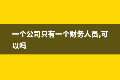 一個公司只有一個項目費用如何記賬?(一個公司只有一個財務(wù)人員,可以嗎)