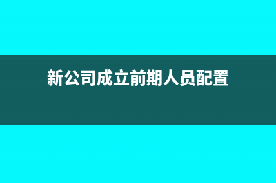 新公司成立前期招待費可以進開辦費嗎？(新公司成立前期人員配置)