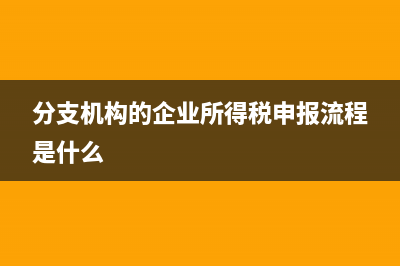 分支機(jī)構(gòu)的企業(yè)所得稅申報(bào)流程是什么