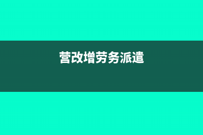 如何查詢國稅應(yīng)該交多少稅?(國稅怎么查繳稅明細)