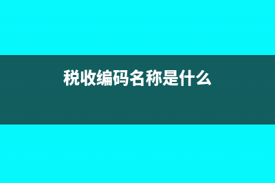 稅收編碼如何在發(fā)票上體現(xiàn)(稅收編碼名稱是什么)