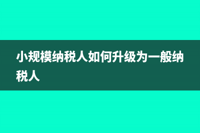 查賬征收所得稅a類填報(bào)怎么填?(查賬征收所得稅計(jì)稅依據(jù))