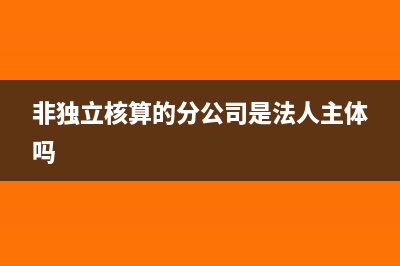 非獨立核算的分公司如何繳納企業(yè)所得稅？(非獨立核算的分公司是法人主體嗎)