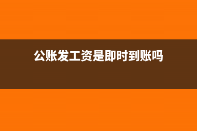 從公賬發(fā)工資是怎么扣除個人所得稅？(公賬發(fā)工資是即時到賬嗎)