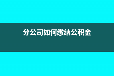 分公司如何繳納稅費(fèi)?(分公司如何繳納公積金)