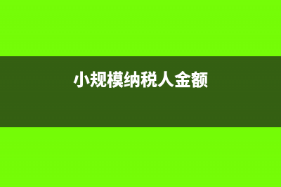 小規(guī)模納稅人金稅盤鎖死怎么辦？(小規(guī)模納稅人金額)