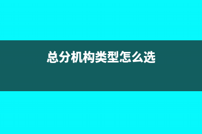 總分機構的增值稅繳納問題(總分機構賬務處理)