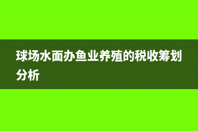 球場水面辦魚業(yè)養(yǎng)殖的稅收籌劃分析