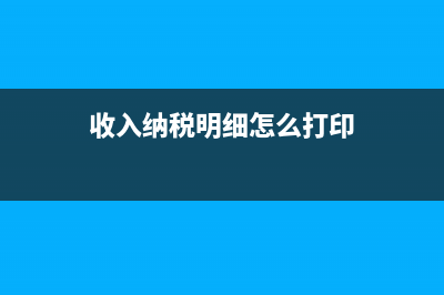 收入納稅明細怎么查詢(收入納稅明細怎么打印)