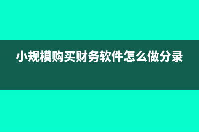 小規(guī)模購買財務(wù)軟件可以抵扣進(jìn)項(xiàng)稅嗎(小規(guī)模購買財務(wù)軟件怎么做分錄)