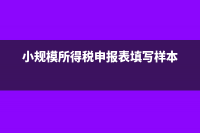 利潤為負(fù)數(shù)所得稅如何申報?(利潤負(fù)數(shù)所得稅怎么算)