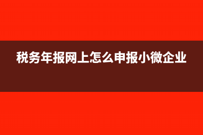 稅務(wù)年報(bào)網(wǎng)上怎么申報(bào)(稅務(wù)年報(bào)網(wǎng)上怎么申報(bào)小微企業(yè))