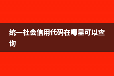 統(tǒng)一社會信用代碼格式(統(tǒng)一社會信用代碼在哪里可以查詢)