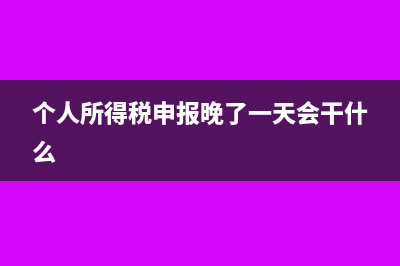 個(gè)稅申報(bào)晚了會(huì)怎么樣(個(gè)人所得稅申報(bào)晚了一天會(huì)干什么)