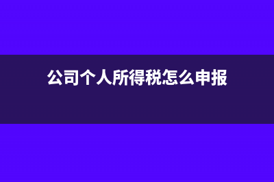 公司個(gè)人所得稅申報(bào)平臺(tái)怎么進(jìn)行申報(bào)(公司個(gè)人所得稅怎么申報(bào))