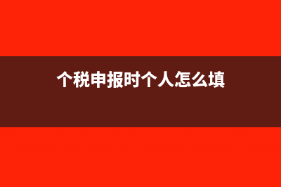 個稅申報時個人信息的投資信息是什么(個稅申報時個人怎么填)