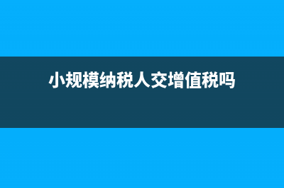 定期定額納稅申報表個人所得稅怎么填？(定期定額納稅申報)