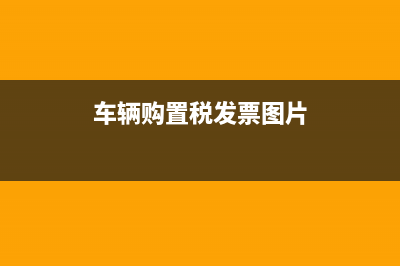 車輛購置稅發(fā)票丟了怎么辦?(車輛購置稅發(fā)票在哪里打印)