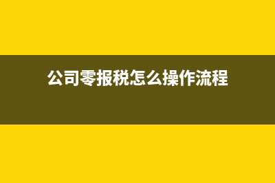 賣出回購證券支出的會計核算？(回購證券標的)