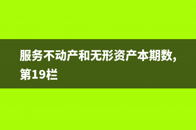 服務(wù)不動產(chǎn)和無形資產(chǎn)扣除項目明細(xì)怎么填？(服務(wù)不動產(chǎn)和無形資產(chǎn)本期數(shù),第19欄)