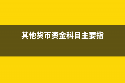 其他貨幣的賬面如何設置？(其他貨幣的賬面價值包括)