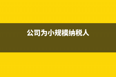 負(fù)數(shù)發(fā)票跨月怎么作廢？(負(fù)數(shù)發(fā)票跨月怎么報稅)