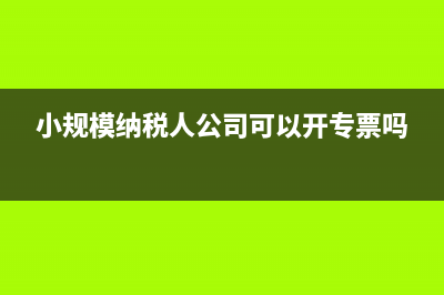 在沒(méi)有費(fèi)用的情況下如何降低利潤(rùn)？(沒(méi)有什么費(fèi)用)