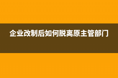 設立明細賬的注意事項有哪些(明細賬建賬的步驟)