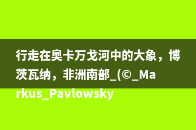 【哈士奇贈書活動 - 24期】-〖前端工程化：基于Vue.js 3.0的設計與實踐〗(哈士奇新手禮包)