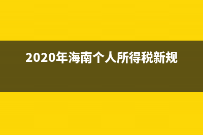 海南企業(yè)個人所得稅怎么申報？ (2020年海南個人所得稅新規(guī)定)