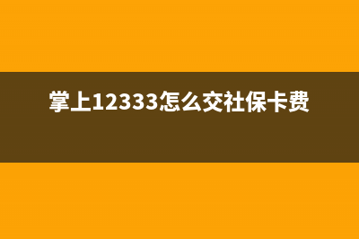 掌上12333怎么交社保？ (掌上12333怎么交社?？ㄙM用)