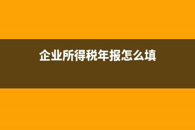 企業(yè)所得稅年報怎么報呀？ (企業(yè)所得稅年報怎么填)