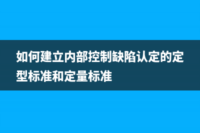 如何建立內(nèi)部控制管理信息系統(tǒng)功能？ (如何建立內(nèi)部控制缺陷認定的定型標準和定量標準)