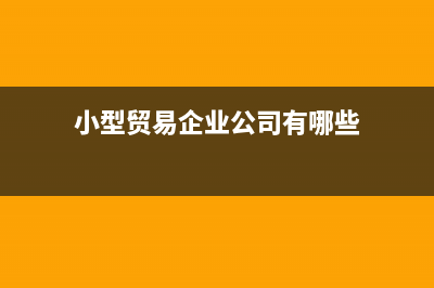 貿(mào)易公司(小額納稅人)如何繳納企業(yè)所得稅的？ (小型貿(mào)易企業(yè)公司有哪些)