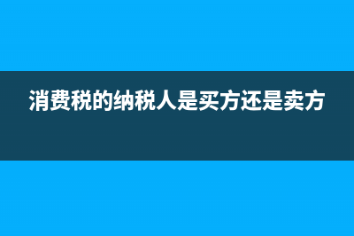 消費(fèi)稅的納稅人不繳納消費(fèi)稅的內(nèi)容？ (消費(fèi)稅的納稅人是買方還是賣方)